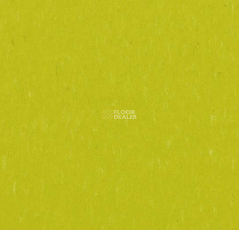 Forbo Marmoleum Solid Piano 3646-364635 young grass фото 1 | FLOORDEALER